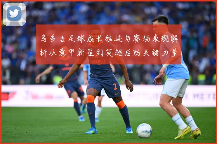 乌多吉足球成长轨迹与赛场表现解析从意甲新星到英超后防关键力量-深度解析