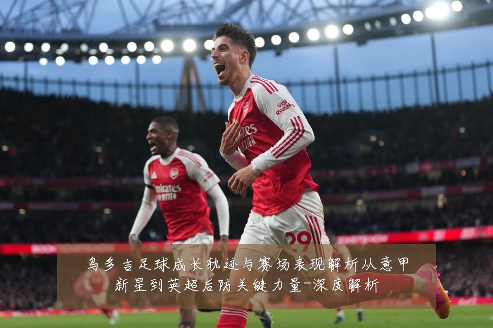 乌多吉足球成长轨迹与赛场表现解析从意甲新星到英超后防关键力量-深度解析